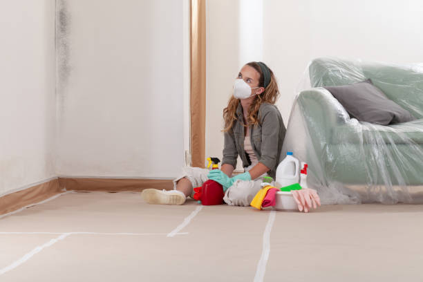 Trusted Commercial Mold Remediation service in Madison, IL - WQB Mold Removal